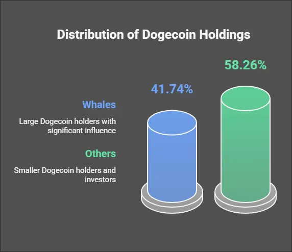 Distribution of Dogecoin Holdings