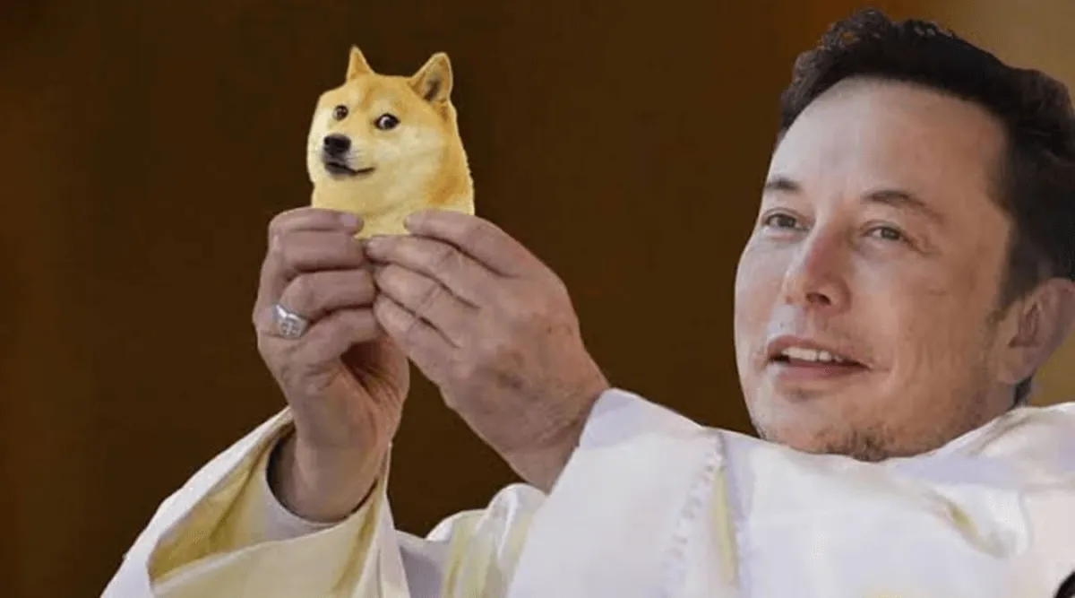 Elon and Doge