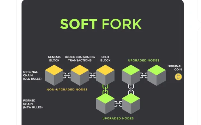 soft fork diagram